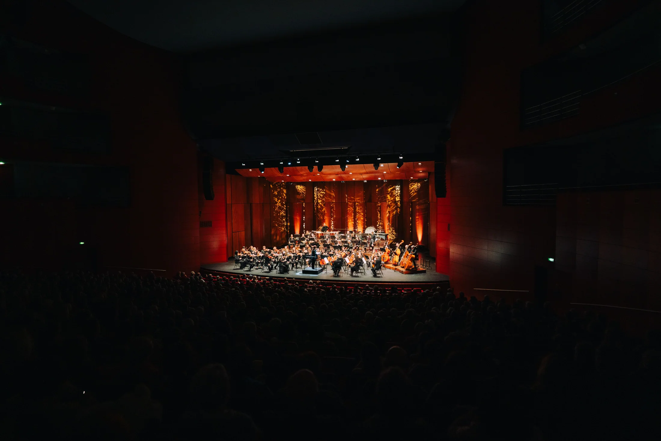 Détail d'un geste de musicien et d'un instrument
